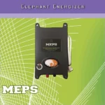 Elephant-Energizer.webp