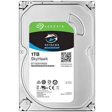 Seagate Surveillance 1 TB Hard Disk