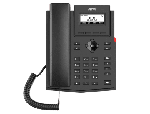 Fanvil X301P Entry Level IP Phone