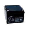 Ritar 12V 24Ah AGM Deep Cycle Battery
