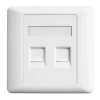 2 Port Network Face Plate