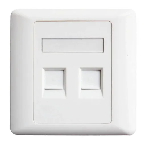 2 Port Network Face Plate