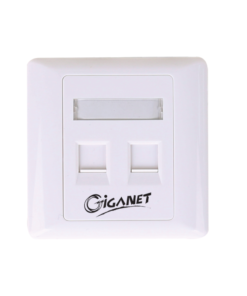 Giganet Double Faceplate