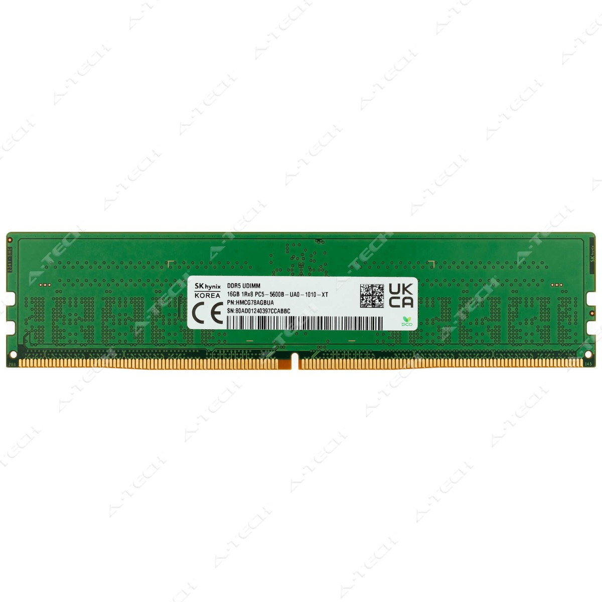 Hixa 16GB PC5-5600 DDR5 Desktop RAM