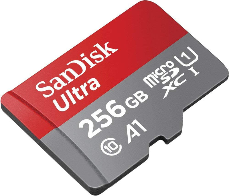 SanDisk 256GB SDXC Class 10 Memory Card for Digital Cameras